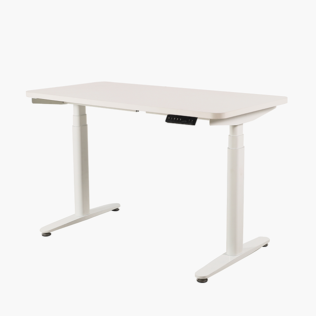 NT33-2CF3 Standing desk electric adjustable office desk