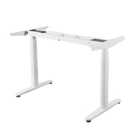 Adjustable Height Standing Desk Electric Stand Up Desk,Sit Stand Home Office Desk