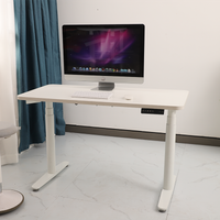 NT33-3D3 Standing Desk Electric Adjustable Office Desk