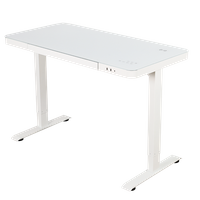 NT33-E4 New Arrival Ergonomic Electric Adjustable Height Standing Desk