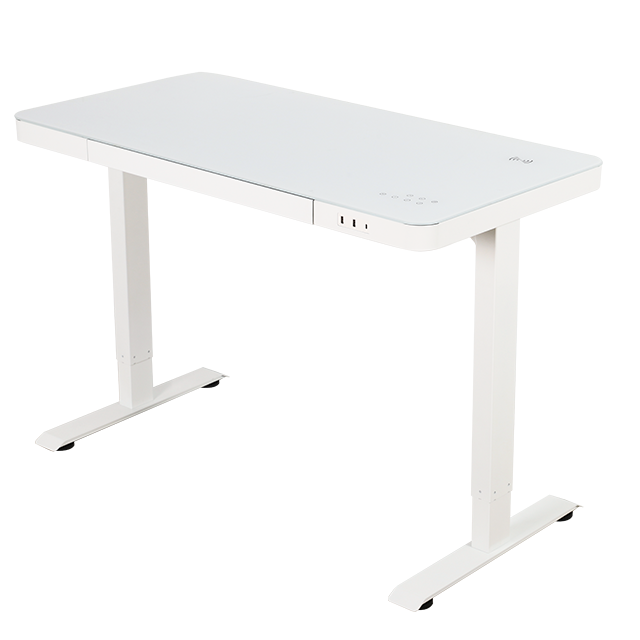 NT33-E4 Top Quality Electric Height Adjustable Electric Office Sit Stand Desk